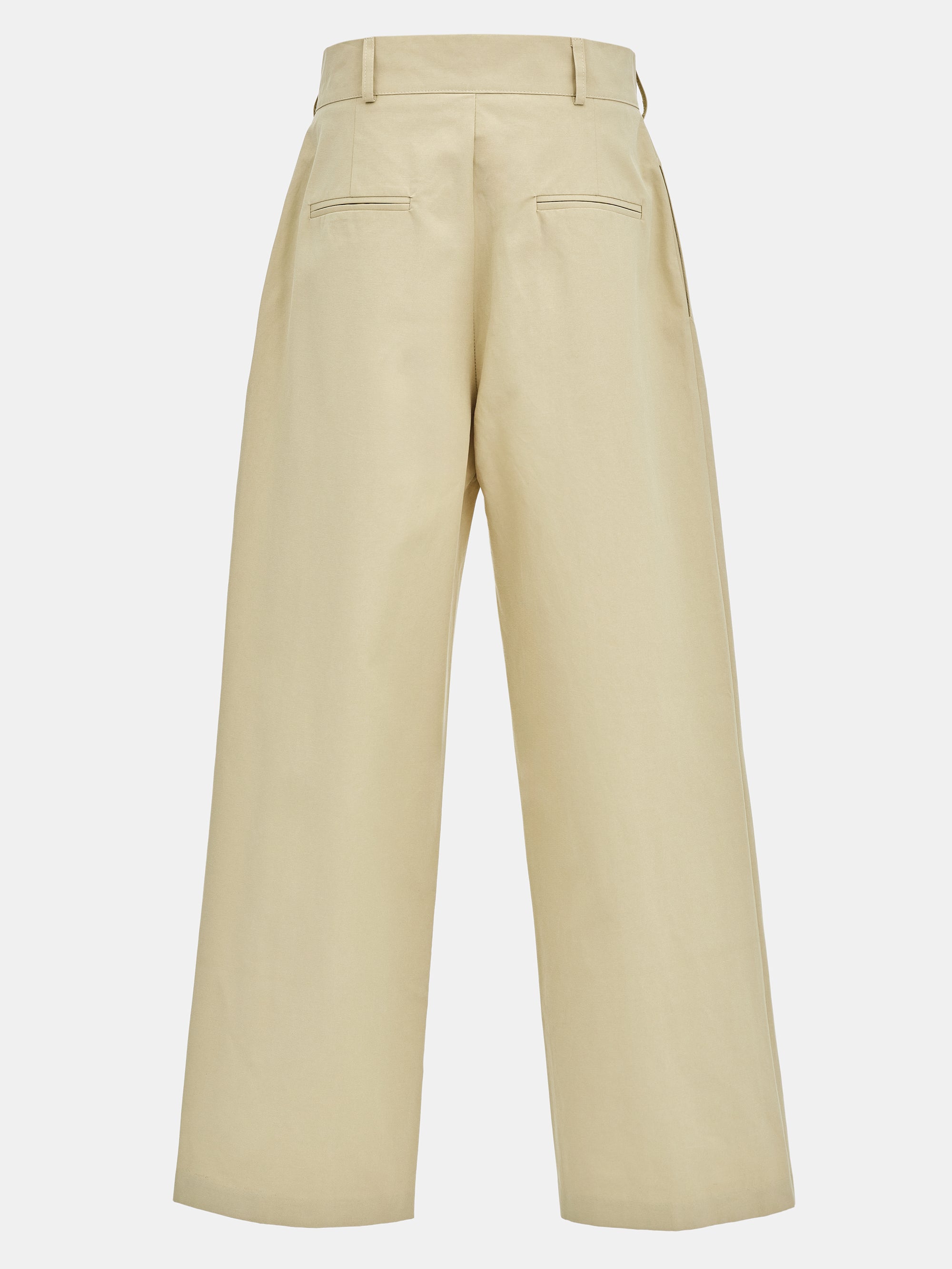 Relaxed Pleated Chinos, Beige
