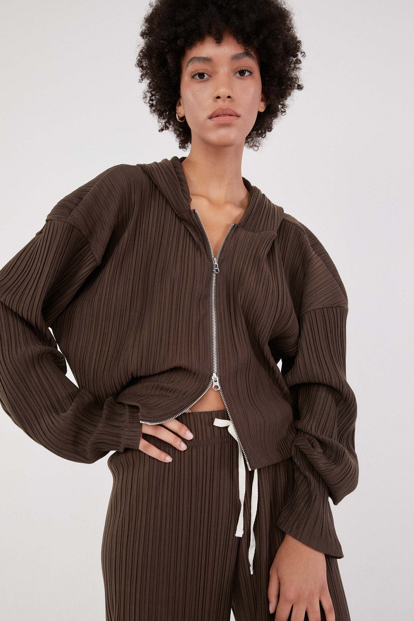 Hooded Pleat Zip Sweatshirt, Umber Brown