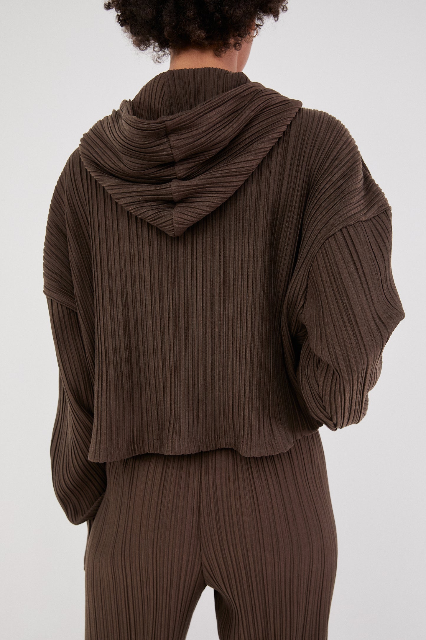 Hooded Pleat Zip Sweatshirt, Umber Brown