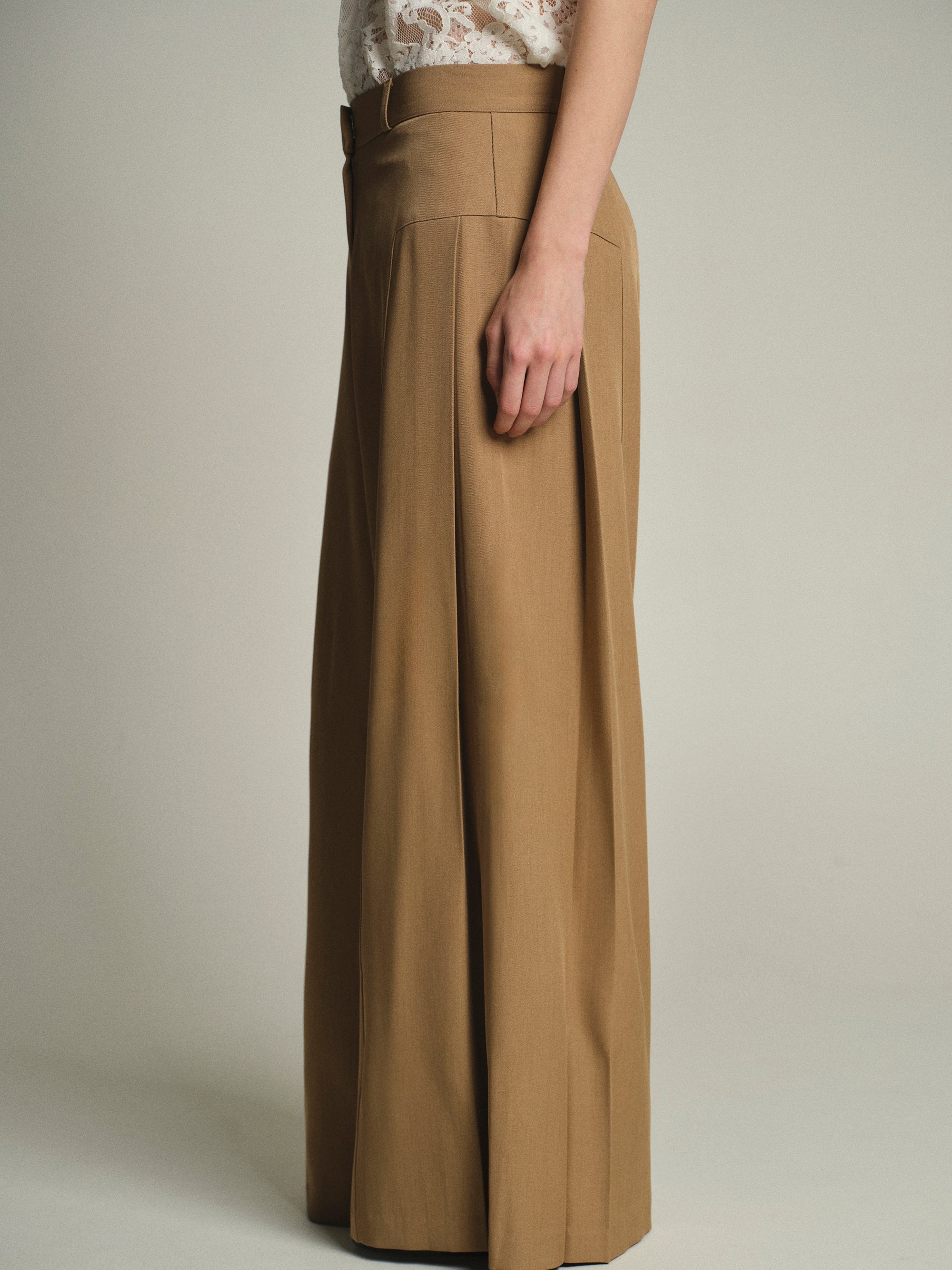 Flowy Wide-Leg Pants, Tan