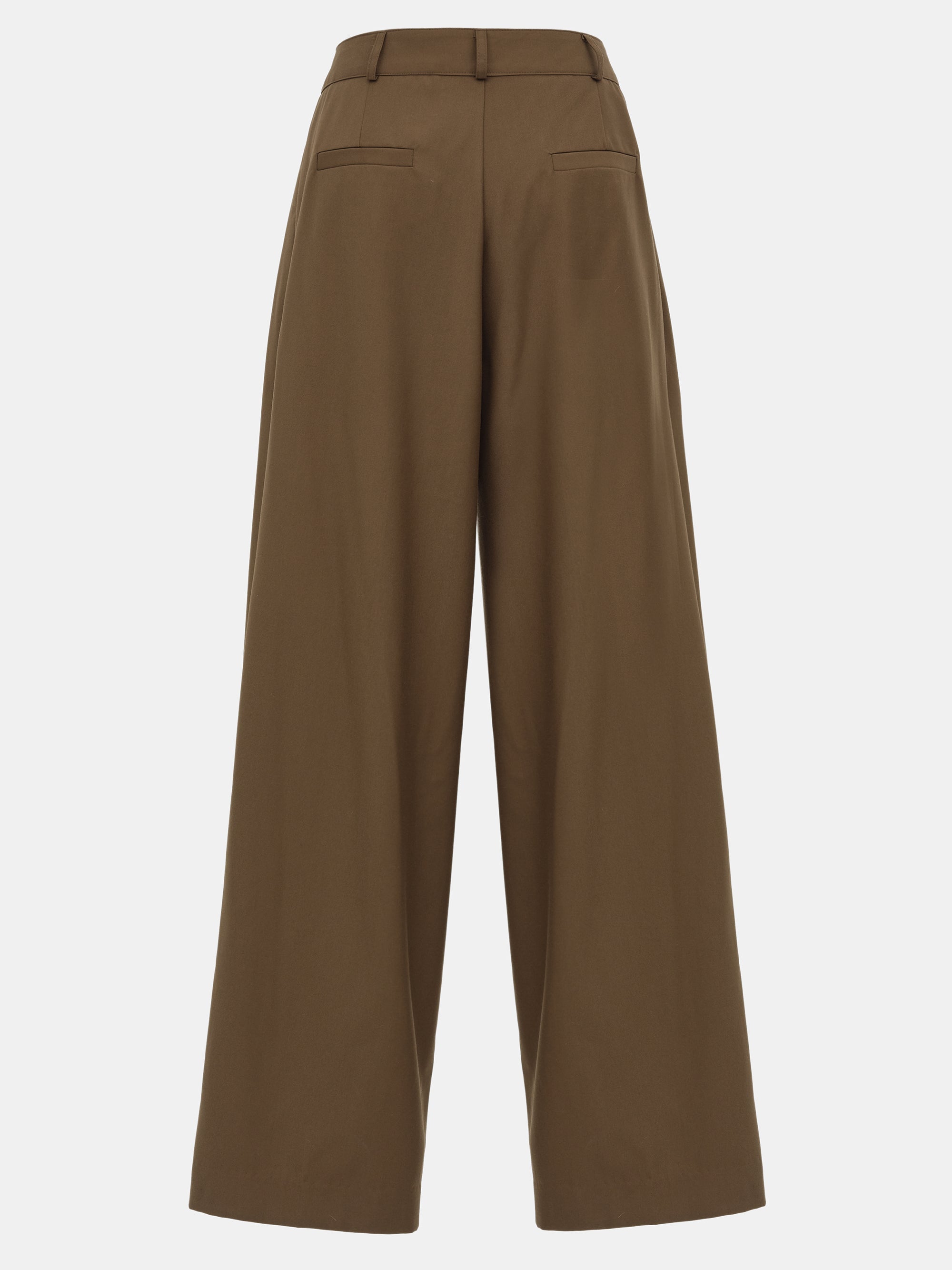 Wide Pleated Trousers, Brown