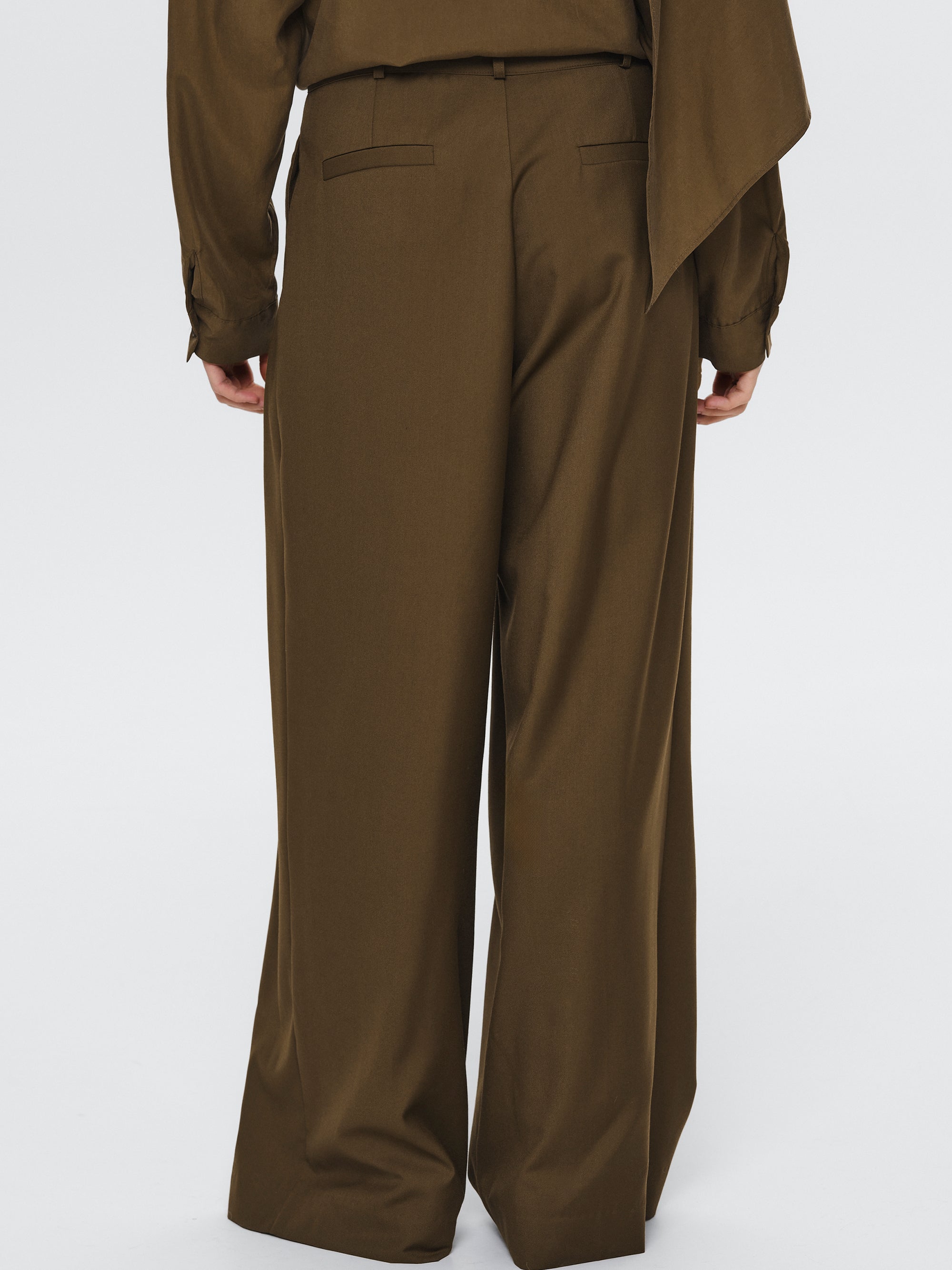 Wide Pleated Trousers, Brown