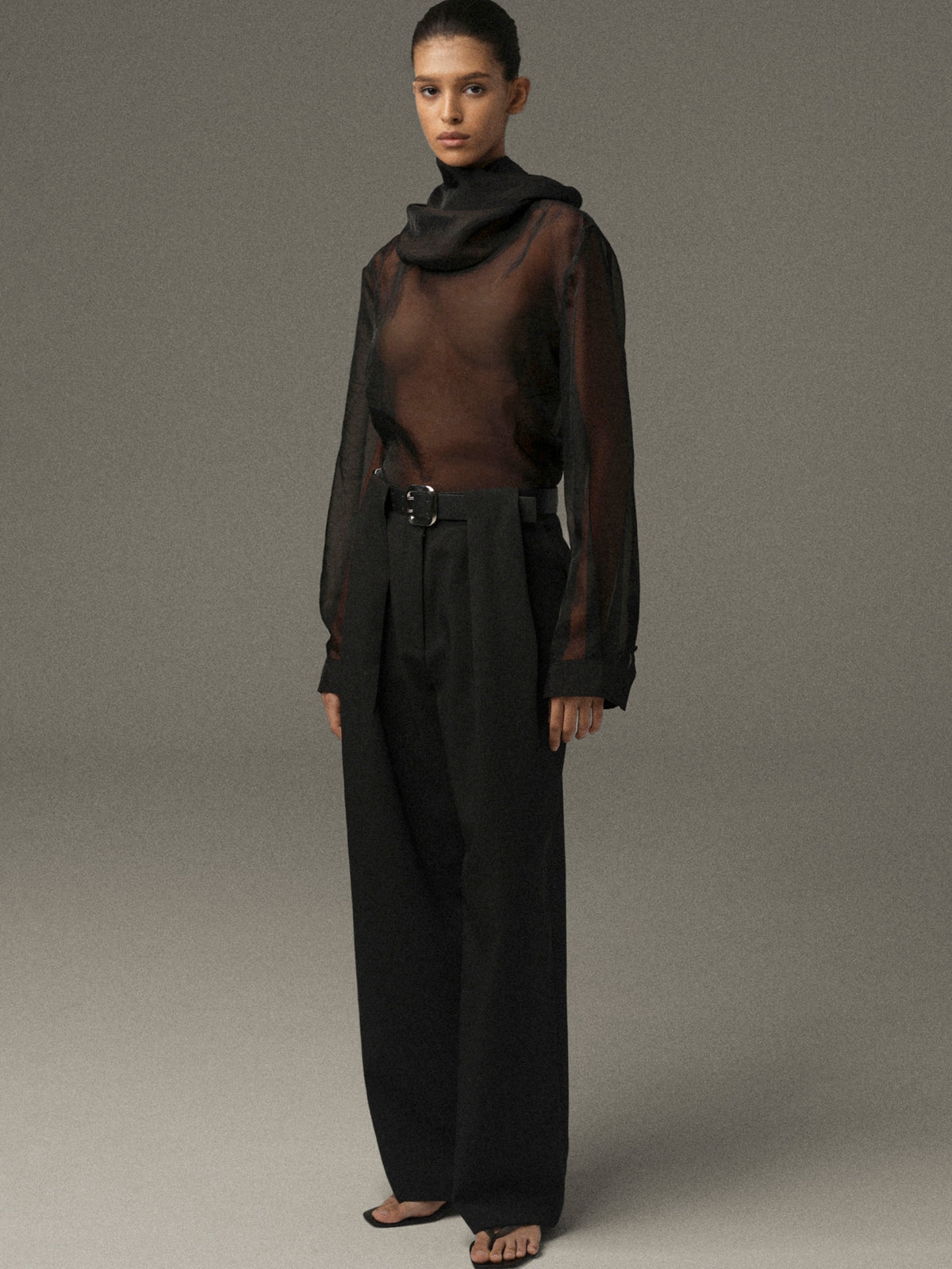 Rissa Roll-Neck Sheer Top, Black