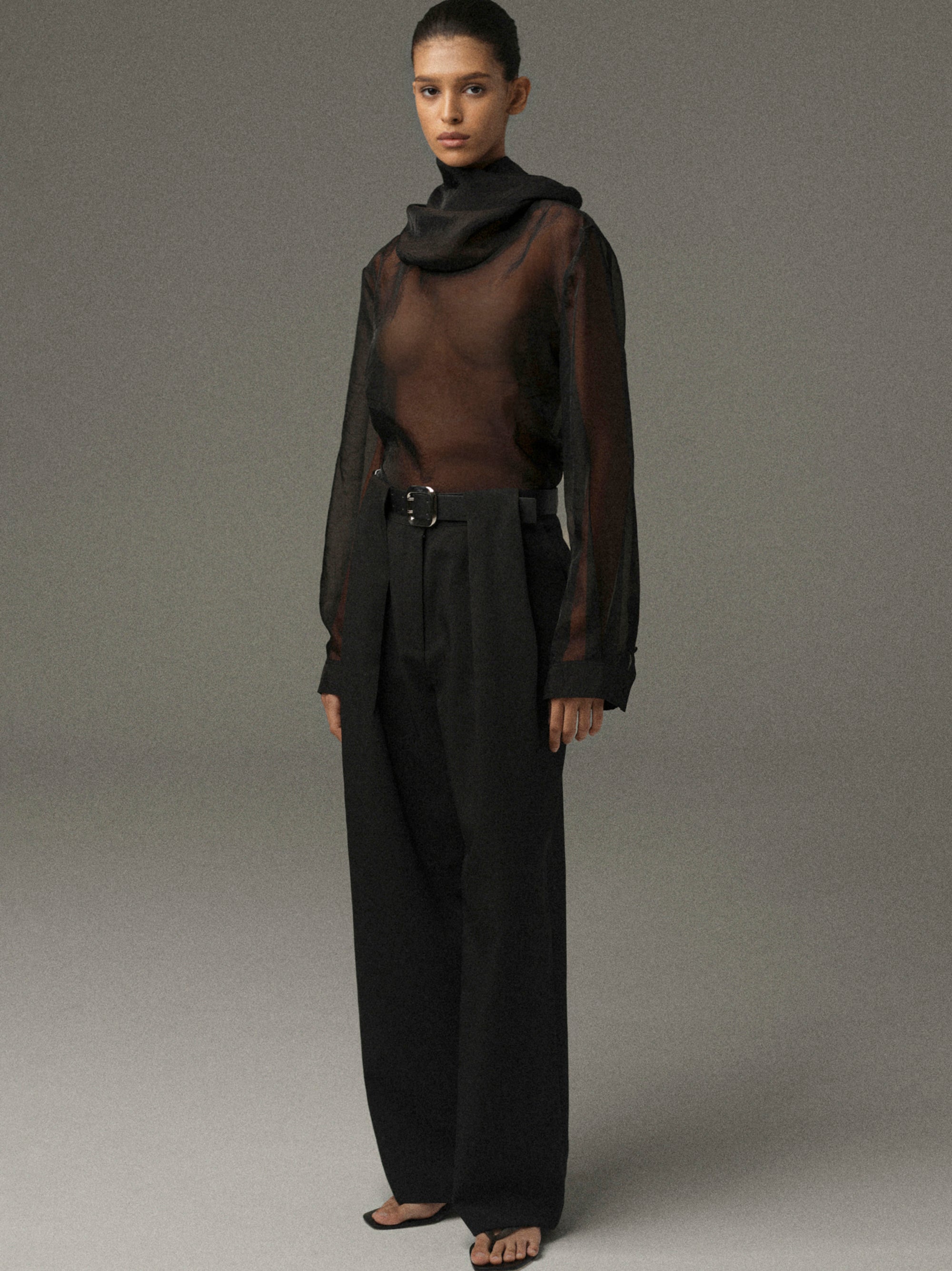 Rissa Roll-Neck Sheer Top, Black