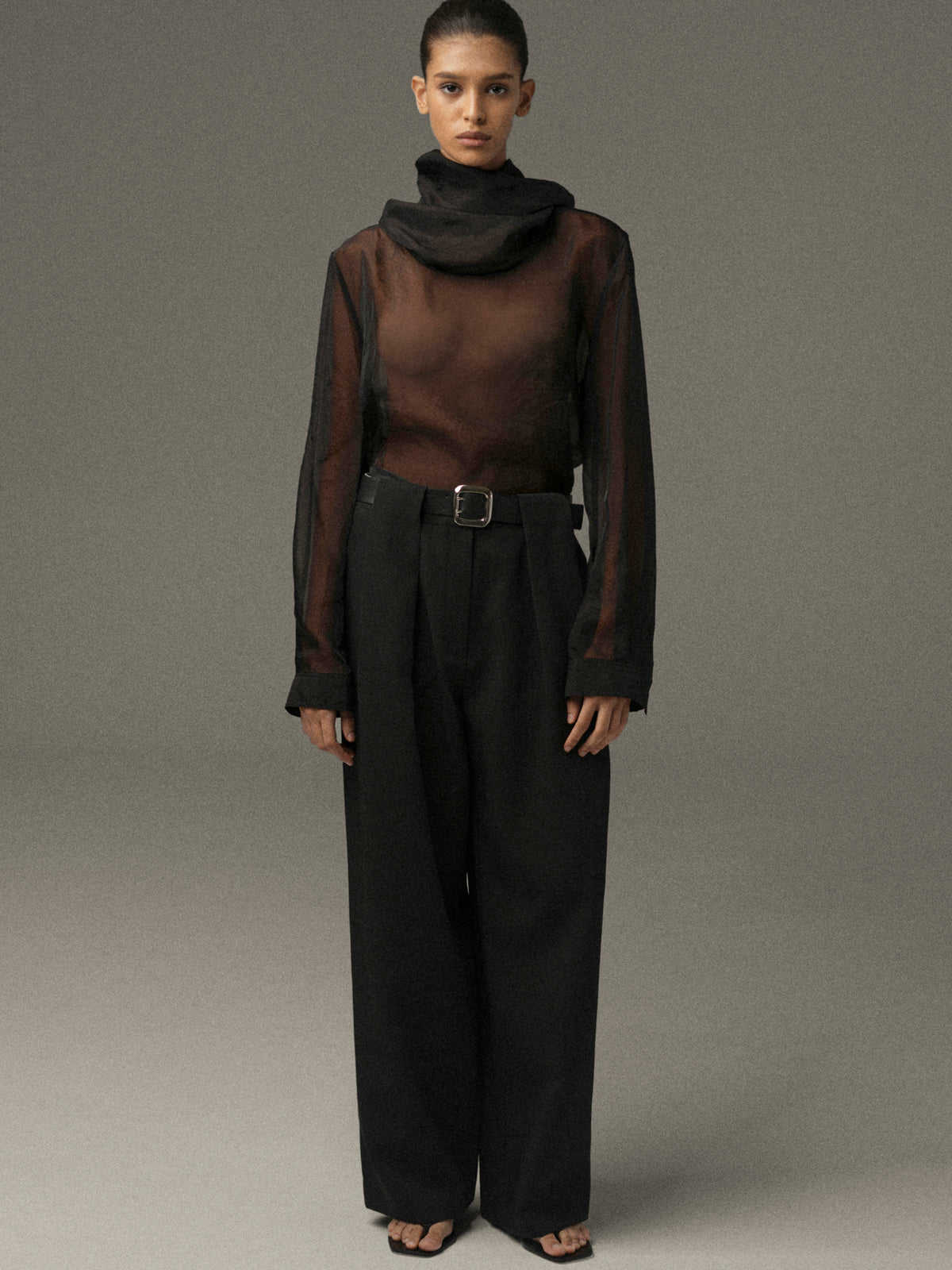 Rissa Roll-Neck Sheer Top, Black