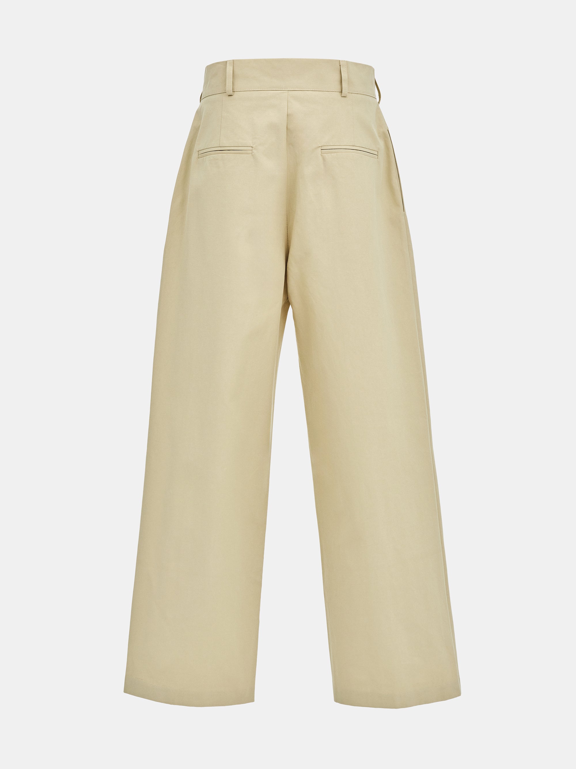 Relaxed Pleated Chinos, Beige