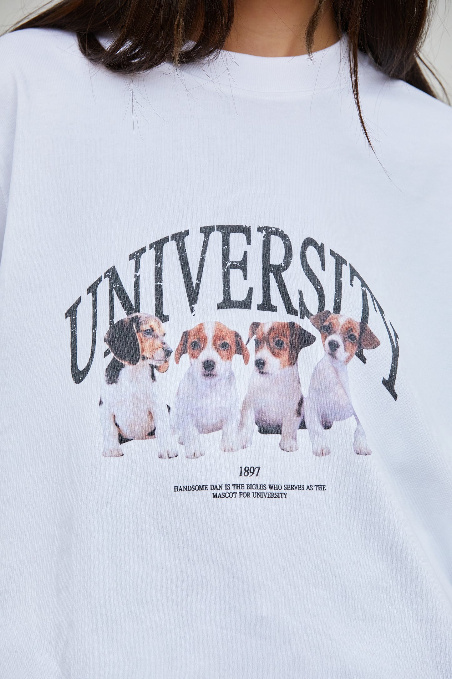 'University Mascot' Graphic Tee, White